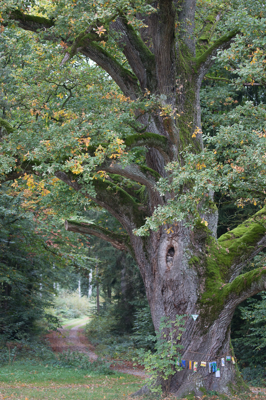 20231014100727 3K6A2223